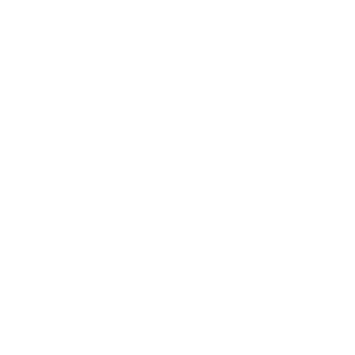 Chassis Module